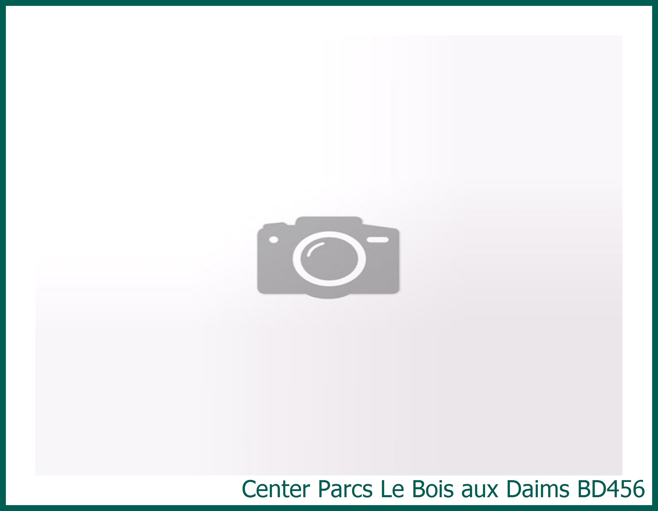 VIP cottage BD456 in Le Bois aux Daims