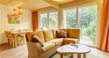 Premium cottage BT480 in Center Parcs Park Bostalsee
