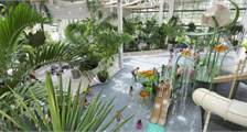 Aqua Mundo activiteiten in Center Parcs Park Bostalsee