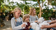 Kids Workshop: Maak je eigen knuffel in Center Parcs Park De Haan