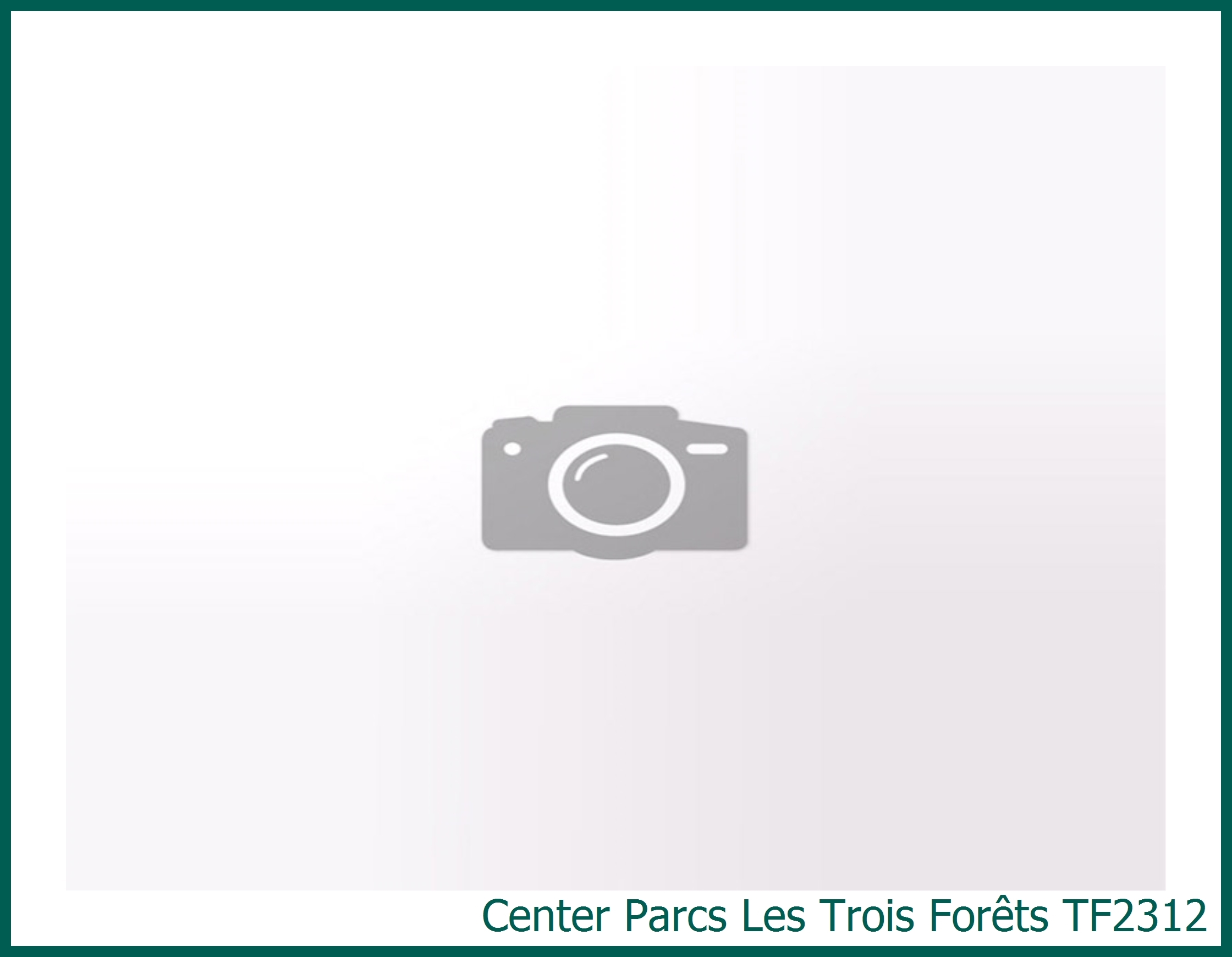 Comfort cottage Vernieuwd TF2312 in Les Trois Forêts