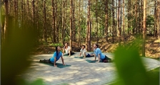 Workshop gezond bewegen: yoga voor beginners in Center Parcs Terhills Resort
