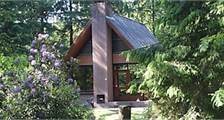 Bungalow Bosrand-C-6 in Summio Parcs Herperduin