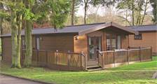 Chalet - Haddon Classic Vogue 4 8C1 in Darwin Forest