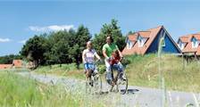 Wandelen en fietsen activiteiten in Landal Dwergter Sand