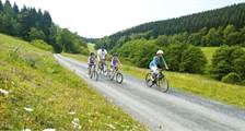 Wandelen en fietsen activiteiten in Landal Winterberg