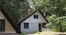 Bungalow 363 in Oostappen Boschbeek